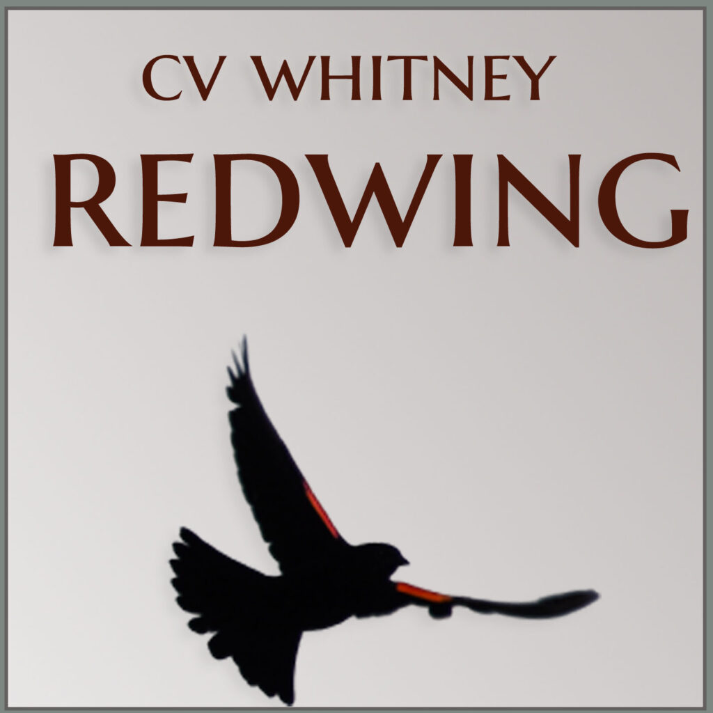 CV WHITNEY- REDWING